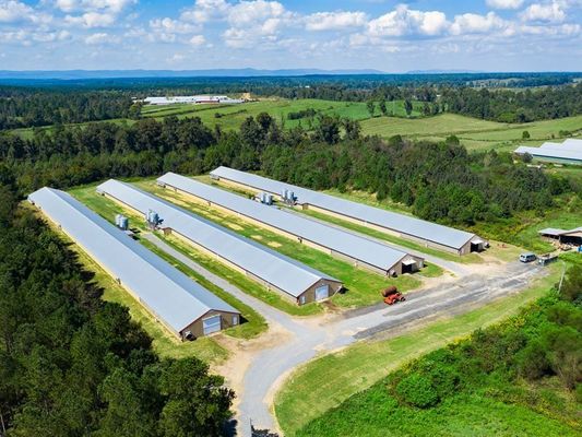 โครงสร้างสแตนเลส Prefab บ้านไก่ บอยเลอร์ ฟาร์ม โครงสร้างกรอบสแตนเลส