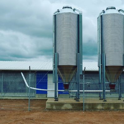 โครงสร้างสแตนเลสเบาที่มีความมั่นคงสูง โครงสร้างโรงงานฟาร์ม โรงเลี้ยงไก่