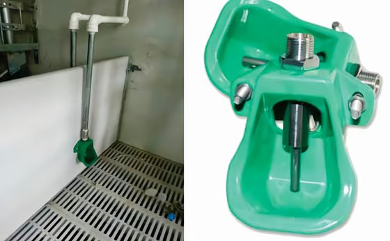 KXD สแตนเลส หมู น้ําดื่มนม หมูชําระอุปกรณ์ การติดตั้งรวดเร็ว