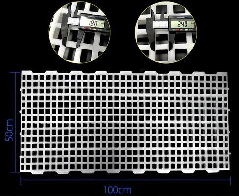 ฟาร์มไก่ โบลเลอร์ 2 กิโลกรัม 16 * 16 มิล / 20 * 26 มิลหลุม