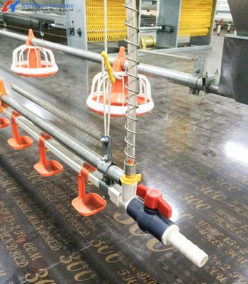 โรงงานเลี้ยงไก่เหล็กตามต้องการ อาคารฟาร์มโครงการเหล็กเบา