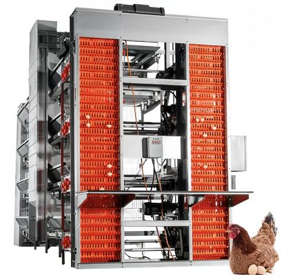 A ประเภท แบตเตอรี่ชั้น ไก่กรง อัตโนมัติ ไก่ ปลูกไก่ อุปกรณ์